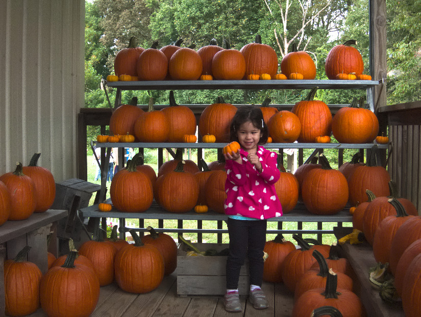 The Annual Pumpkin Patch Visit