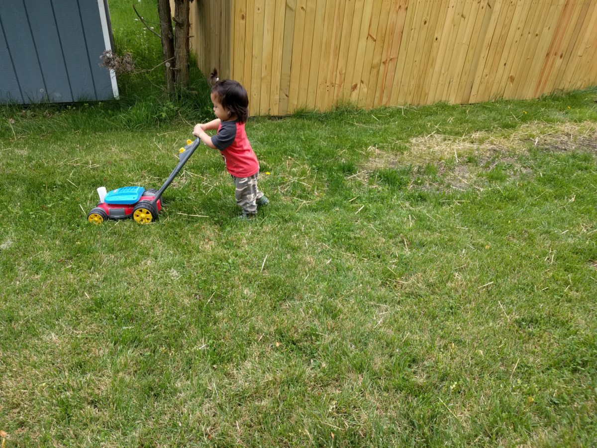 Sam mows the lawn